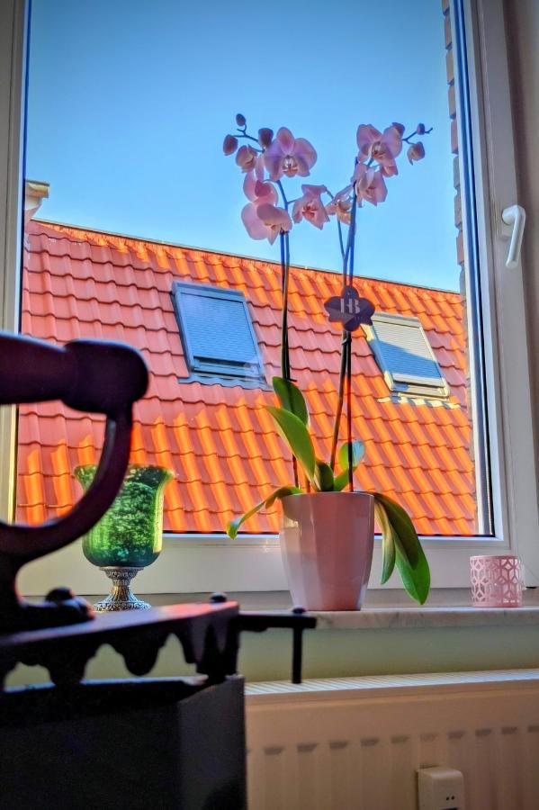 Queen Apartment Uelzen Eksteriør billede